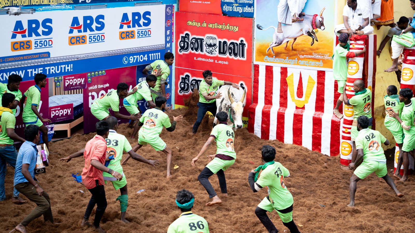 Jallikattu — Photo 2 of 15