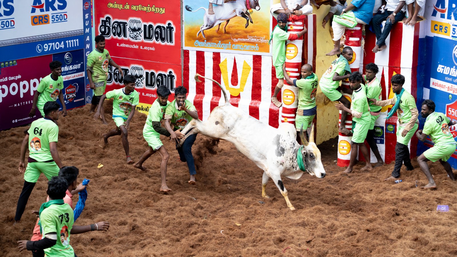 Jallikattu — Photo 3 of 15