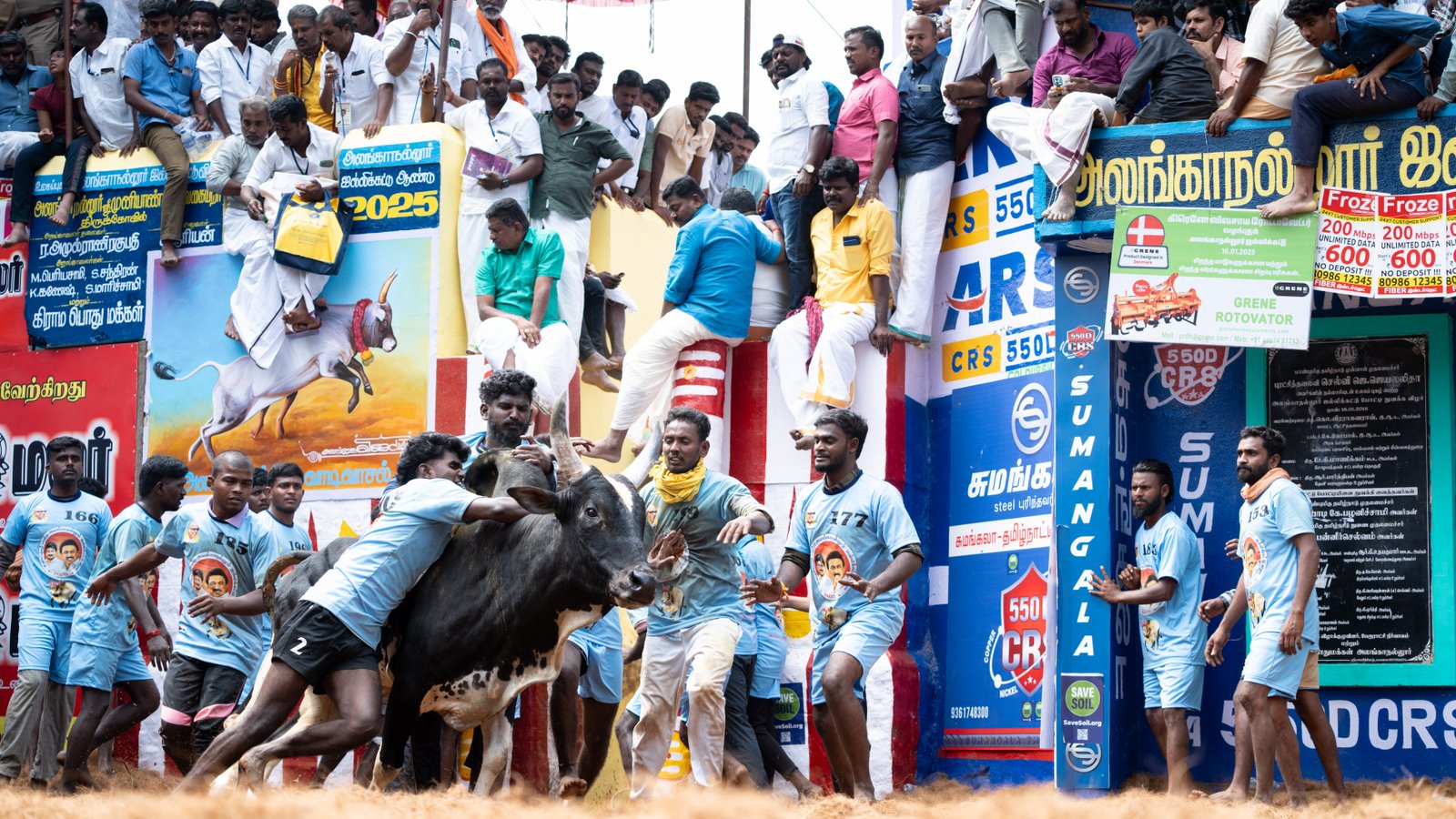 Jallikattu — Photo 7 of 15