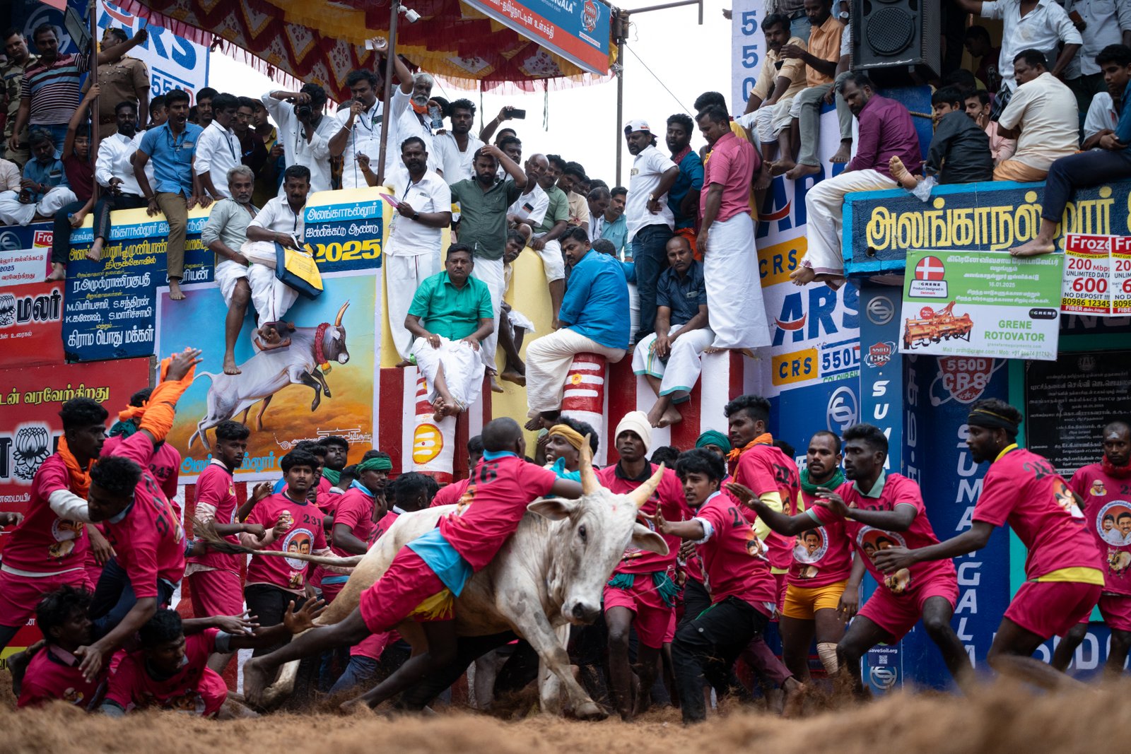 Jallikattu — Photo 8 of 15