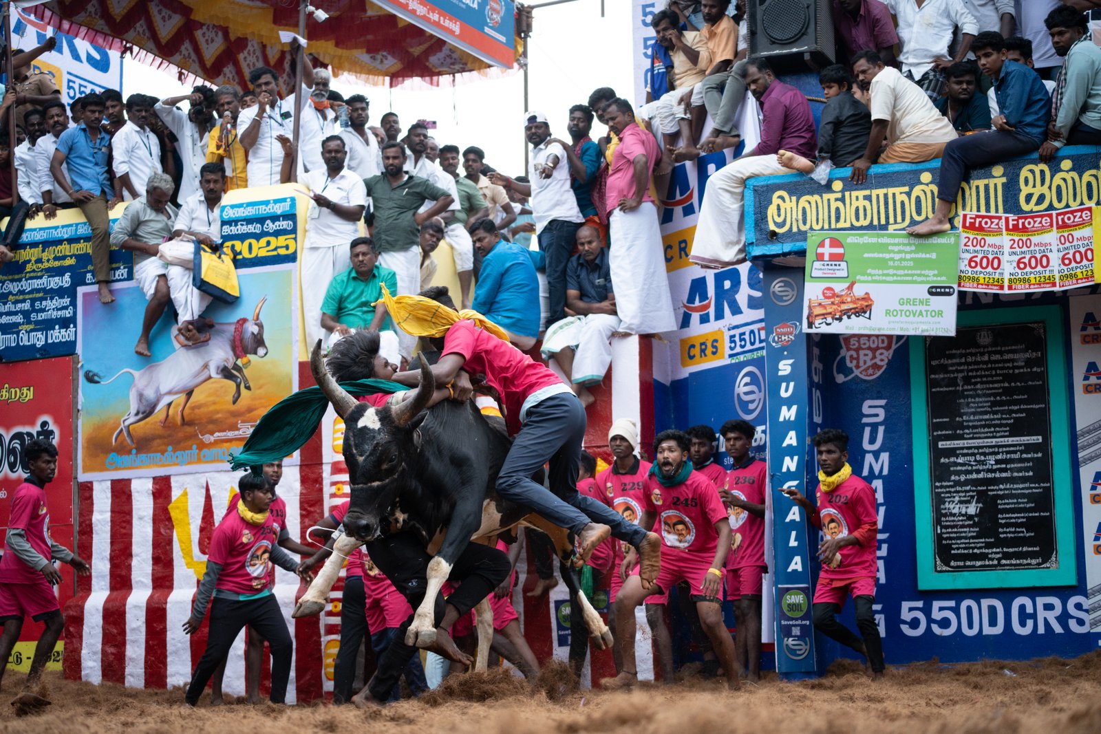 Jallikattu — Photo 9 of 15