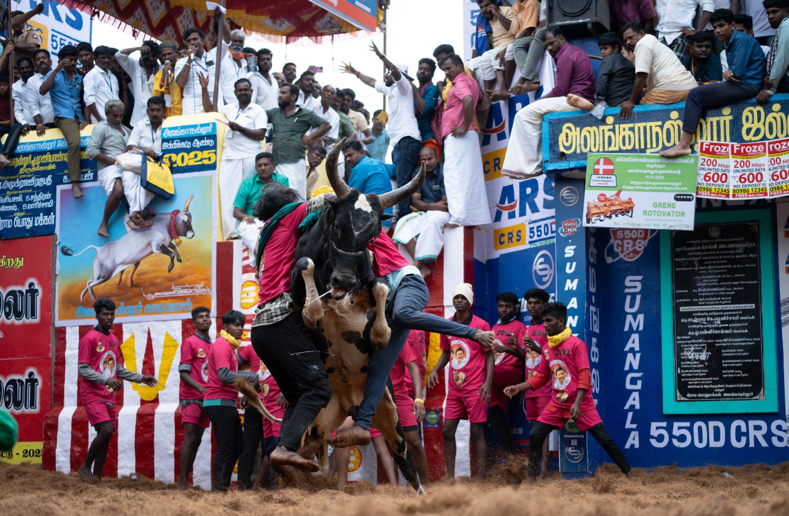 Jallikattu — Photo 10 of 15