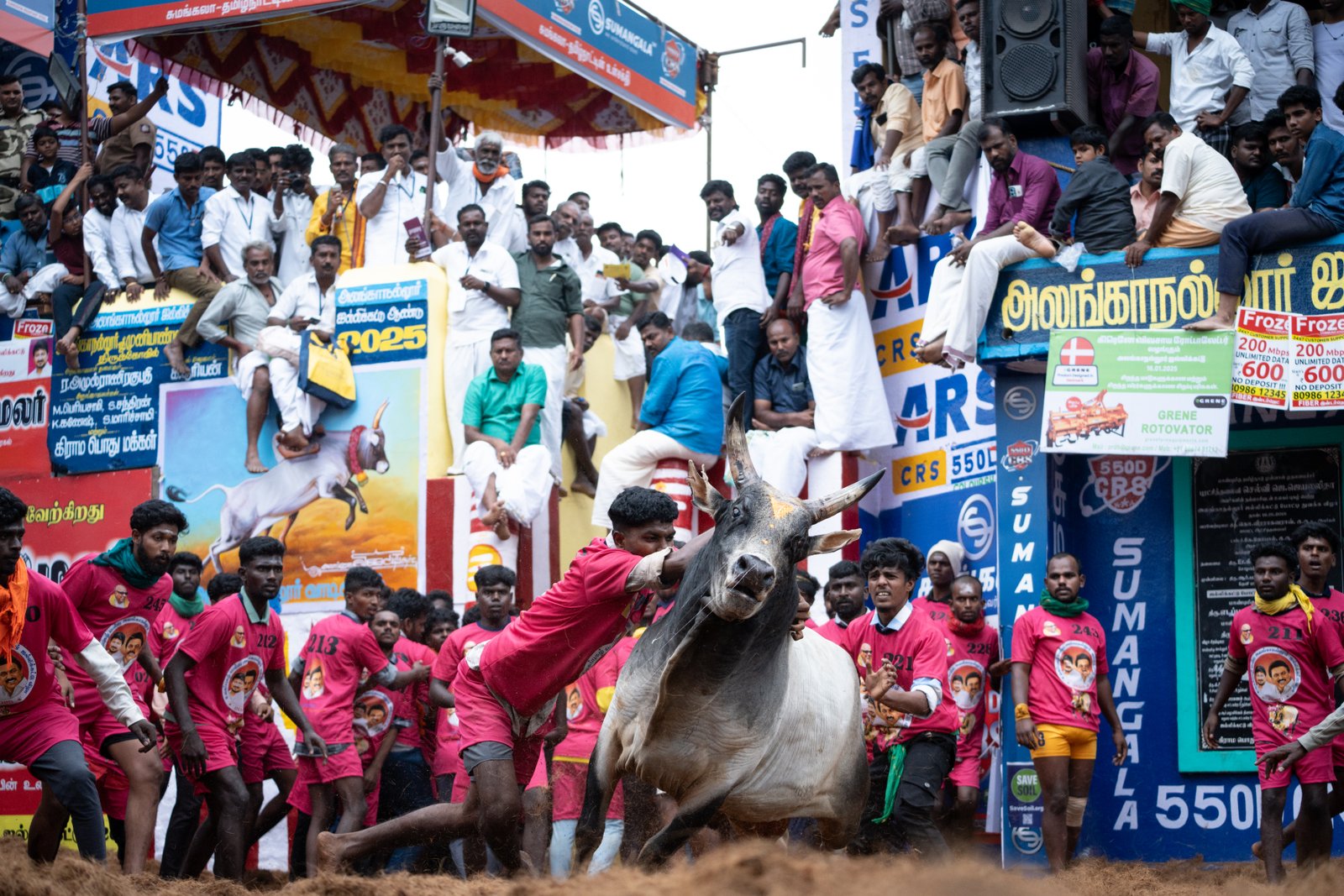 Jallikattu — Photo 11 of 15