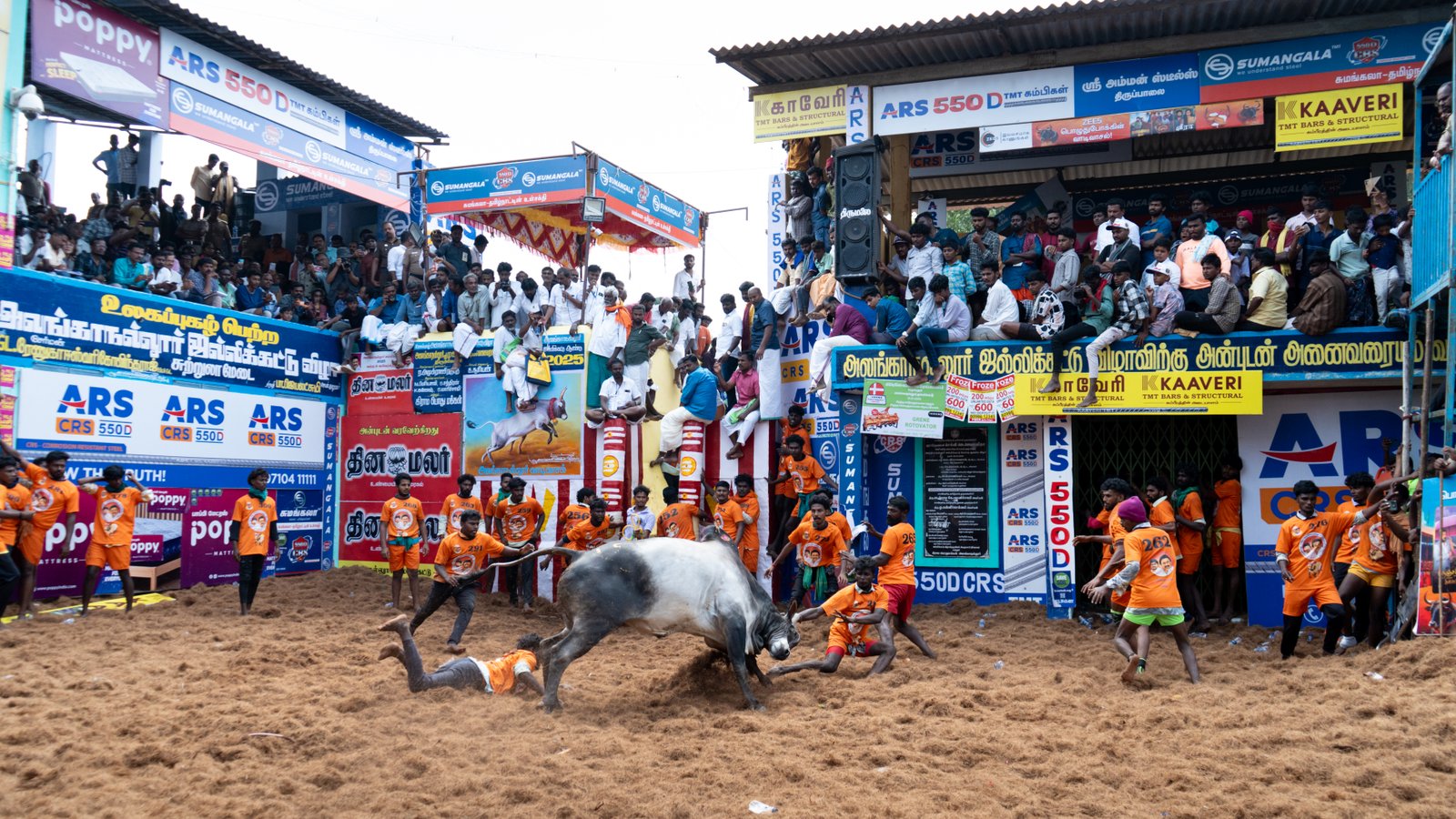Jallikattu — Photo 12 of 15