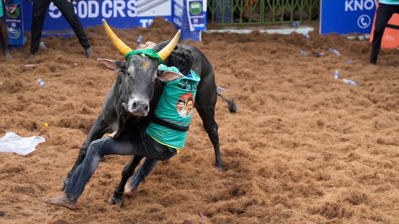 Jallikattu — Photo 13 of 15